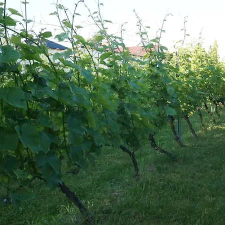 Winnica Bed & Breakfast